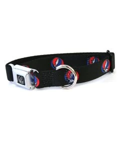 SYF Dog Collar Sm Black